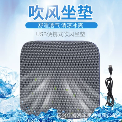 cushion summer hair dryer USB: Multi-function pad