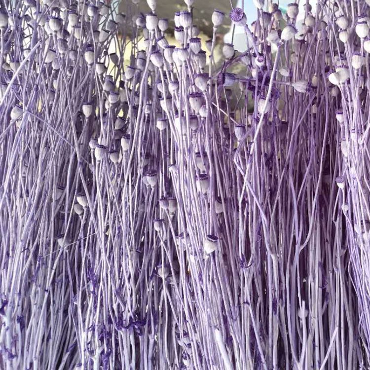 微信图片_20200102163423_副本