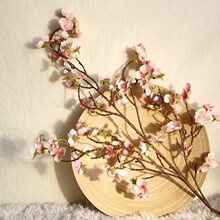 �����һ�����ָӣ���һ�INS��ʽ��ŷ÷�����滨�Ҿ�װ�λ���ٻ�