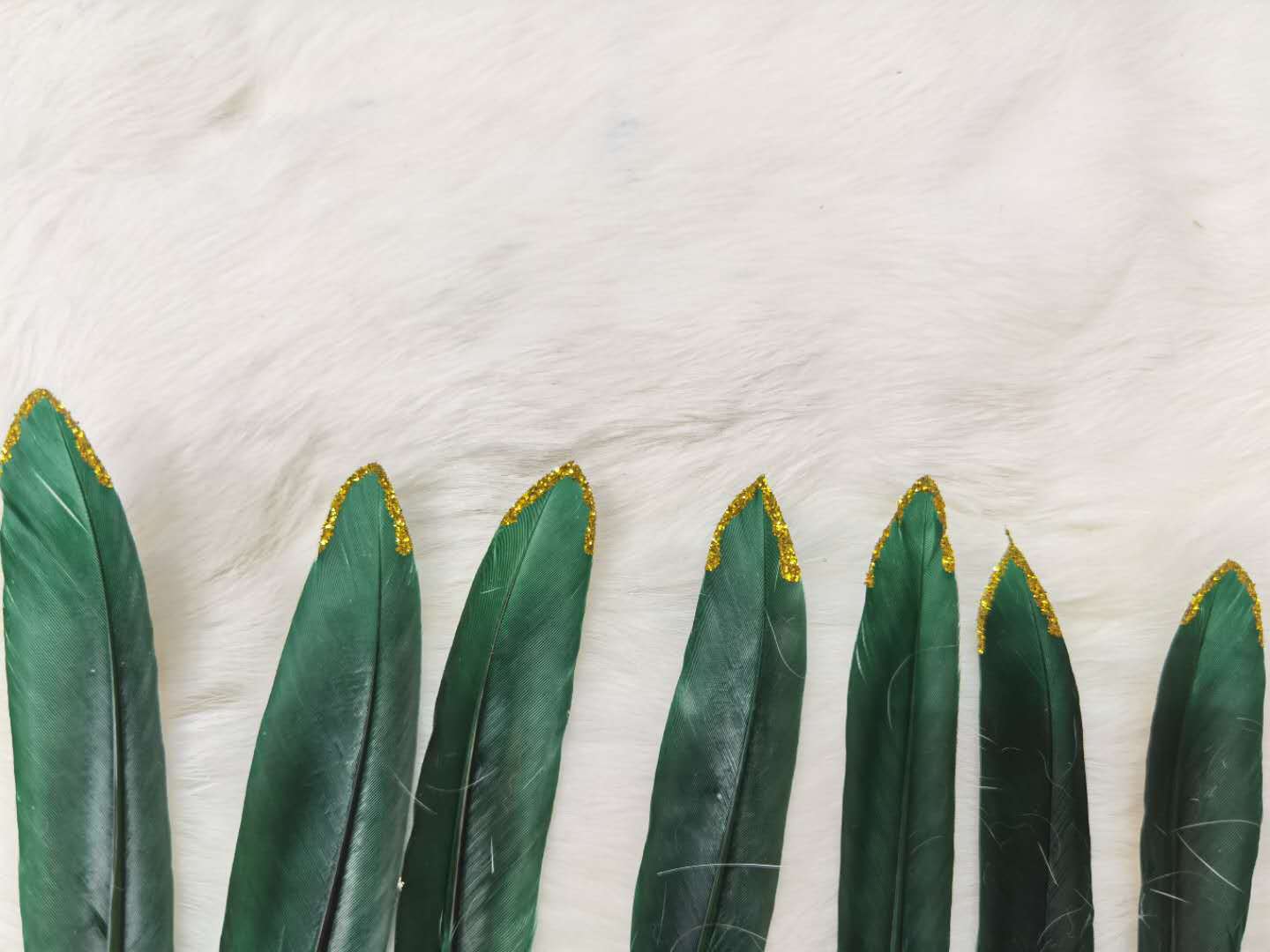 1c55bc60e80212b88a3d4943abf894