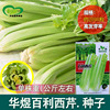 Baili Celery Seed Farmland Vegetable Vegetable Base Reversed Popularity Fibrous Fiber Shao Celebrity Vegetable Seeds