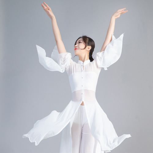 [Live Broadcast Exclusive] Classical Dance Practice Autumn and Winter Performance Costumes Women's Chinese Ancient Style Wide Sleeves Flowing Fairy Gauze Dance Costumes