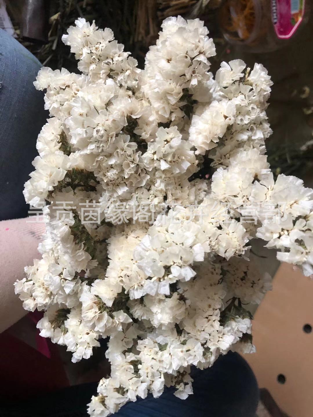 f4f98304533be0432394152dcc6cc2