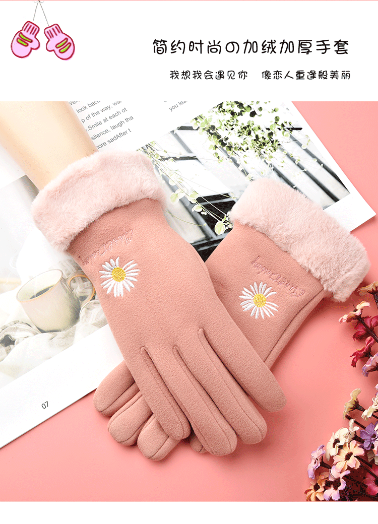 女德绒雏菊 (2).gif