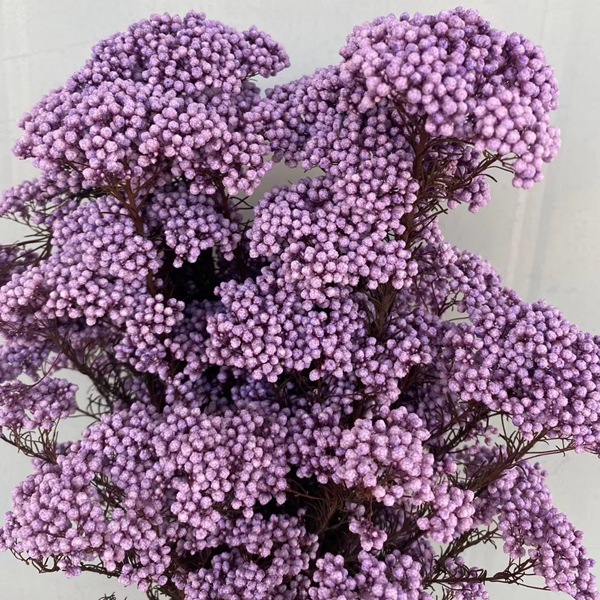 微信图片_20200408183240