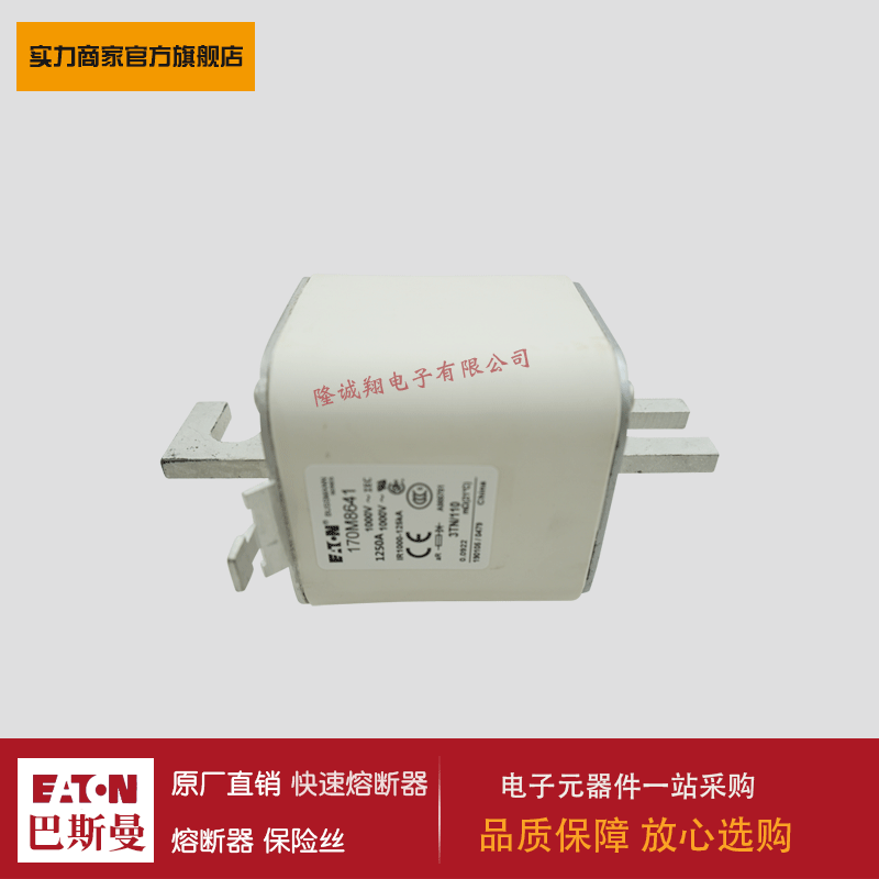 熔断器170M8641 170M8642 170M8643 170M8644 170M3138 170M3139