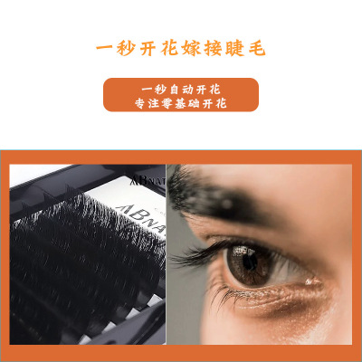 ABNATHY Lash cilia 0.07 automatic magnetic Bloom False eyelashes Imitation mink grafting eyelash goods in stock