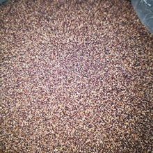 �����Ԯa���N�f���N�� ����a�¼t���ѷN