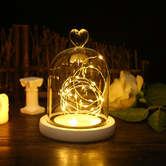 Manufacturer wholesale creative night light ornaments EVA dustproof buckle figure eternal flower glass cover