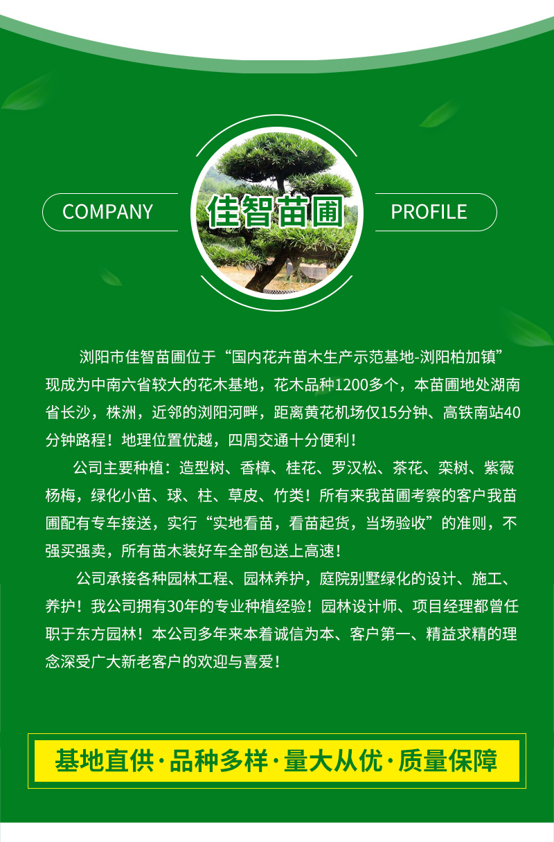 �ۻ��ҹ�-����_09