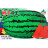 Watermelon seeds watermelon seeds, fruits, big watermelon seed flower skin watermelon seed watermelon seed wholesale company