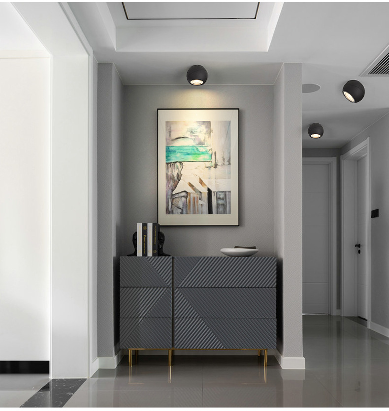 苹果球形明装轨道射灯204