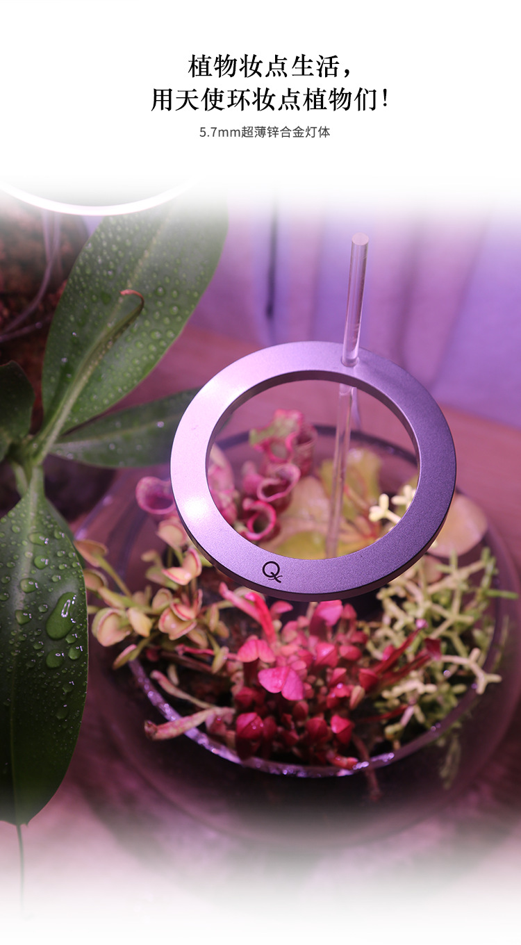 天使环二代详情页-2