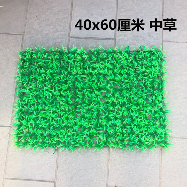 微信图片_20200615222743