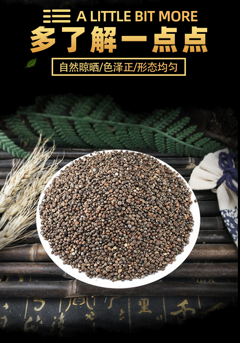 Perilla Seed Powder Zi Su Zi 500g Dried Fructus Perillae for Oil Pressing Bird Food and Herbal Use key features
