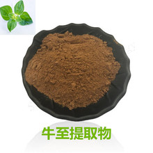 牛至提取物10:1 20:1 止痢草 现货包邮 牛至粉 批发零售 量大从优