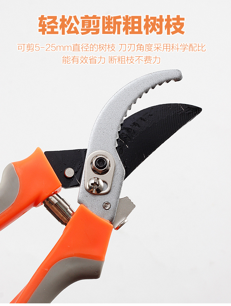 园林剪刀1_05.jpg