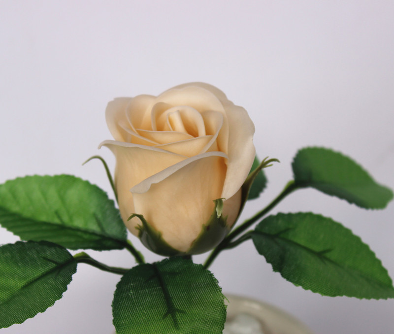 一键复制_20200227134216