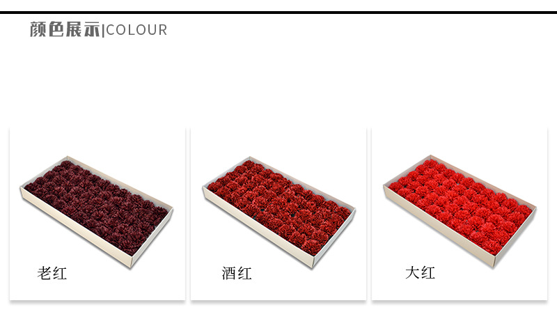 AL康乃馨详情_03