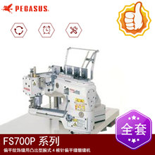 PEGASUSwR FS703P-G2BʽpxC wRƴpC 46