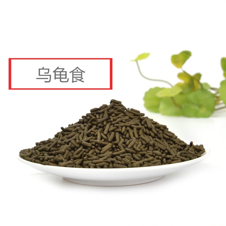 O1CN01B2vZCA1uzVjVph2dy_!!9715