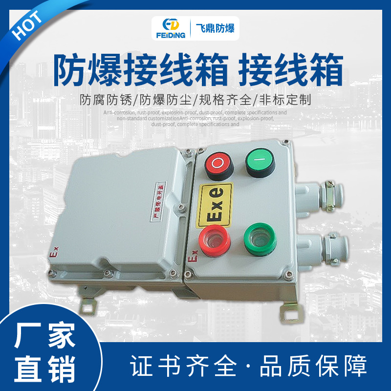 防爆箱 防爆接线箱 接线箱 200x200 230x230 300x300 300x4