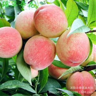 �Ҙ��� ���¼tˮ���� �޽�������ë��