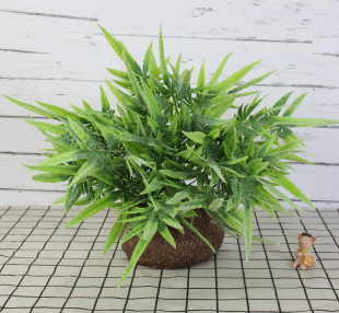 5�����ɺ�����Pצ�~ֲëë���c·������~�Ļ�Y�b���ֲ��