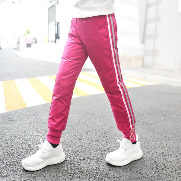 Rose Red 8203