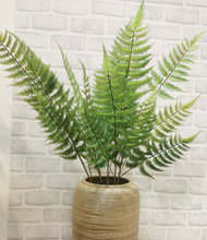 �¿�5Ƭ��~���Է���Gɫֲ�� �Ҿ��҃��b���Gֲ�S��ֱ�N