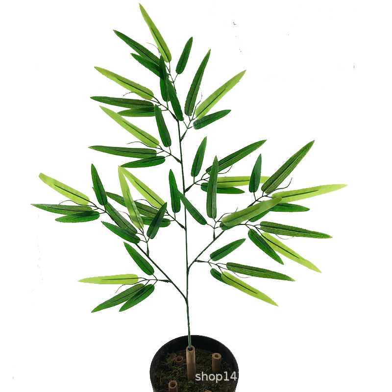 XRB-111 富贵竹叶三叉枝3.jpg