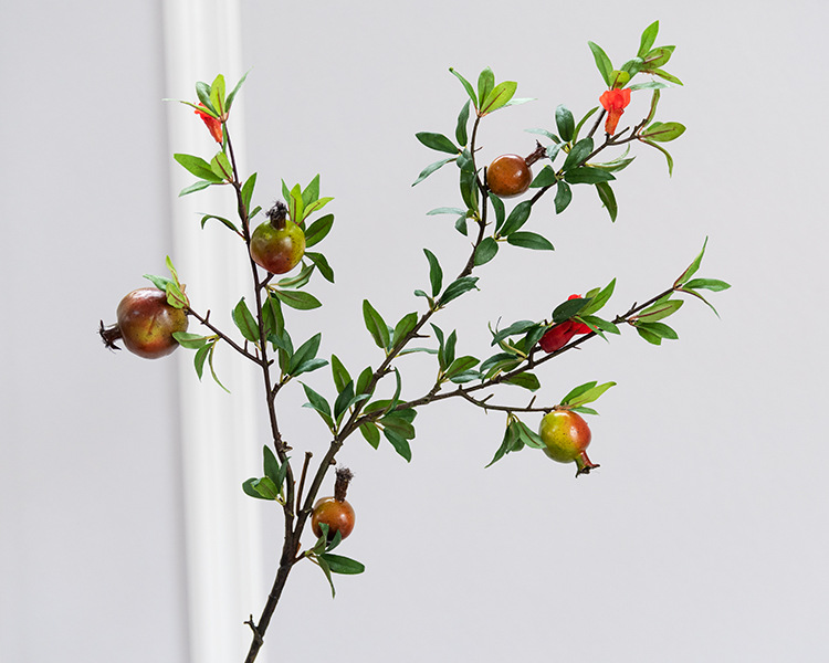 5头石榴带花 红绿色_02.jpg