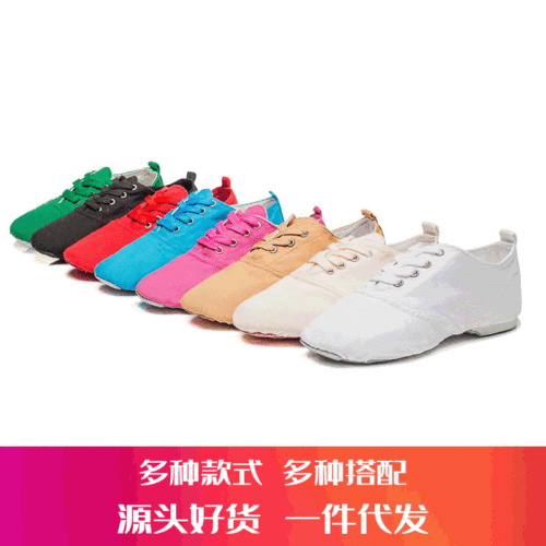 Jazz dance shoes, low-top exercise shoes, adult soft-soled shoes, body classes, men's and women's ballet shoes, yoga modern dance shoes