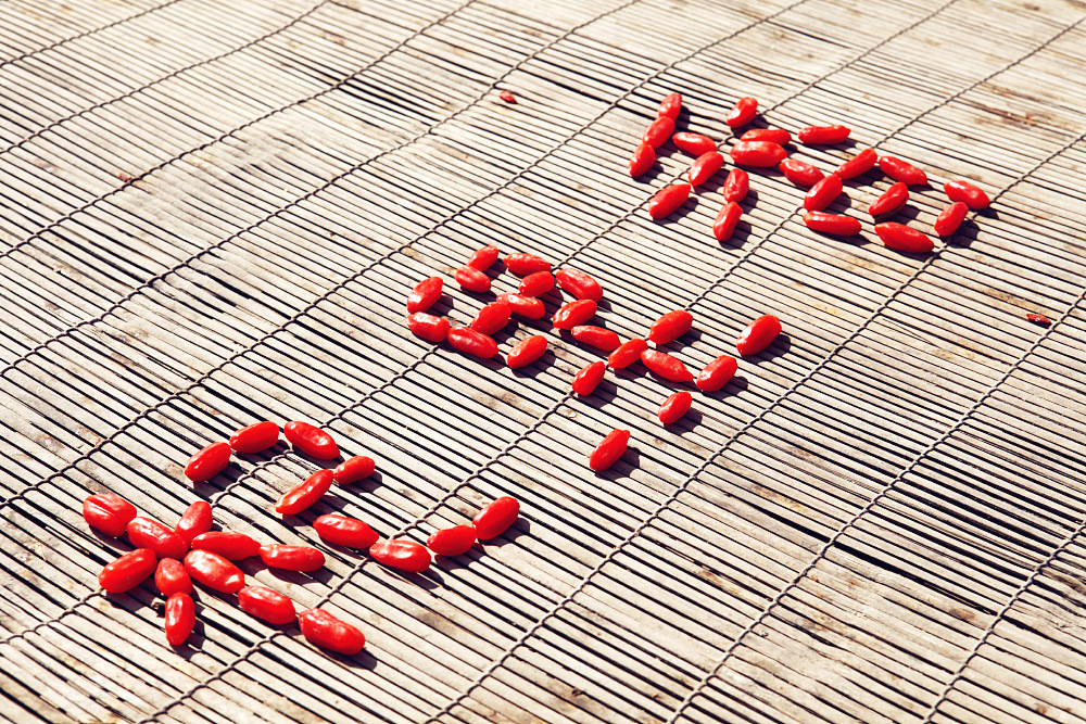 Premium Ningxia Goji Berries Gou Qi Zi Dried Wolfberry for Tea and Soup 40 Jin Bulk Case specifications