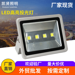 跨境led投光灯户外防水泛光灯100W大功率 草坪庭院聚光投射广告灯详情15