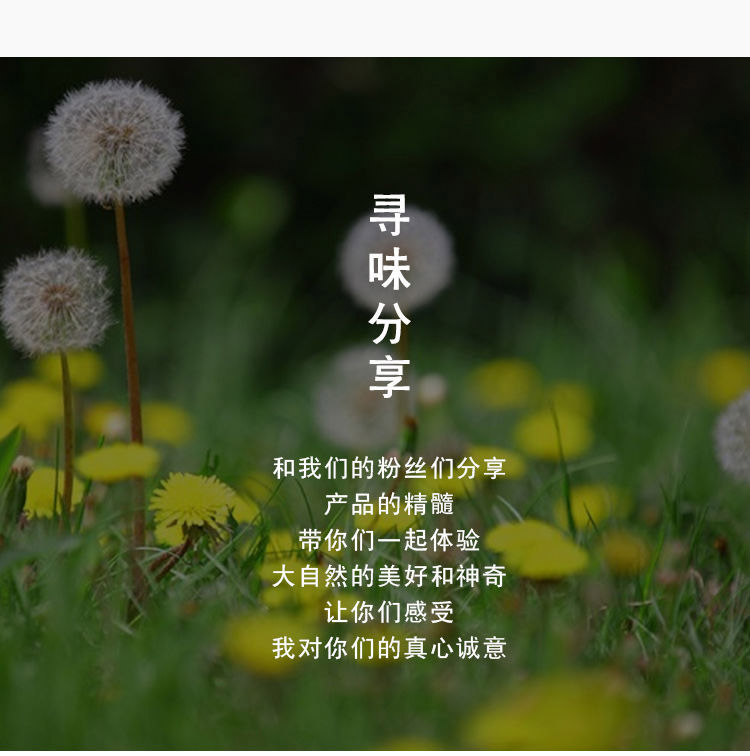 Dandelion Leaf Tea (Taraxacum officinale) — Dried Pu Gong Ying Herbal Tea, 500g Loose Leaf preparation