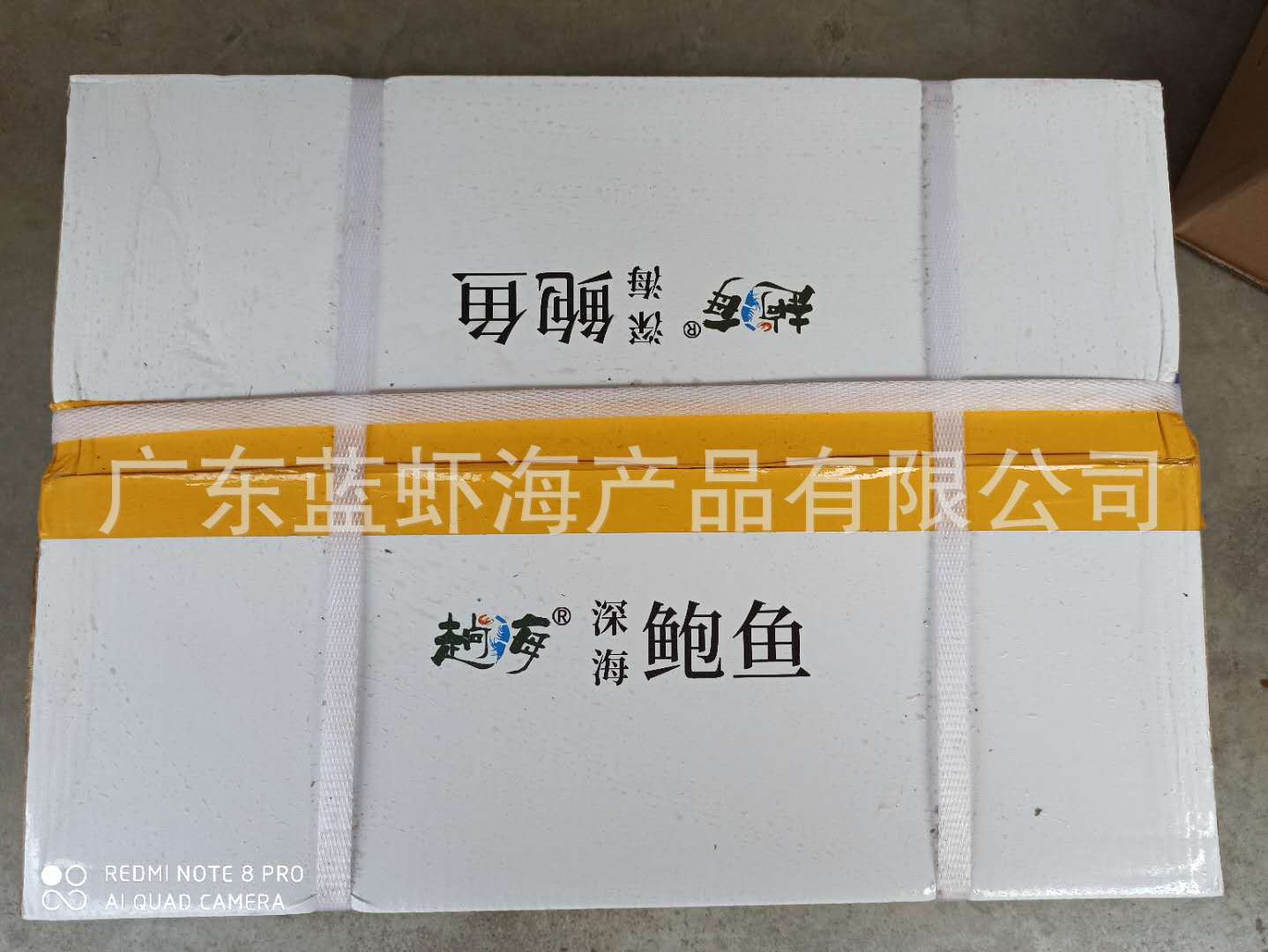 鲍鱼外箱1