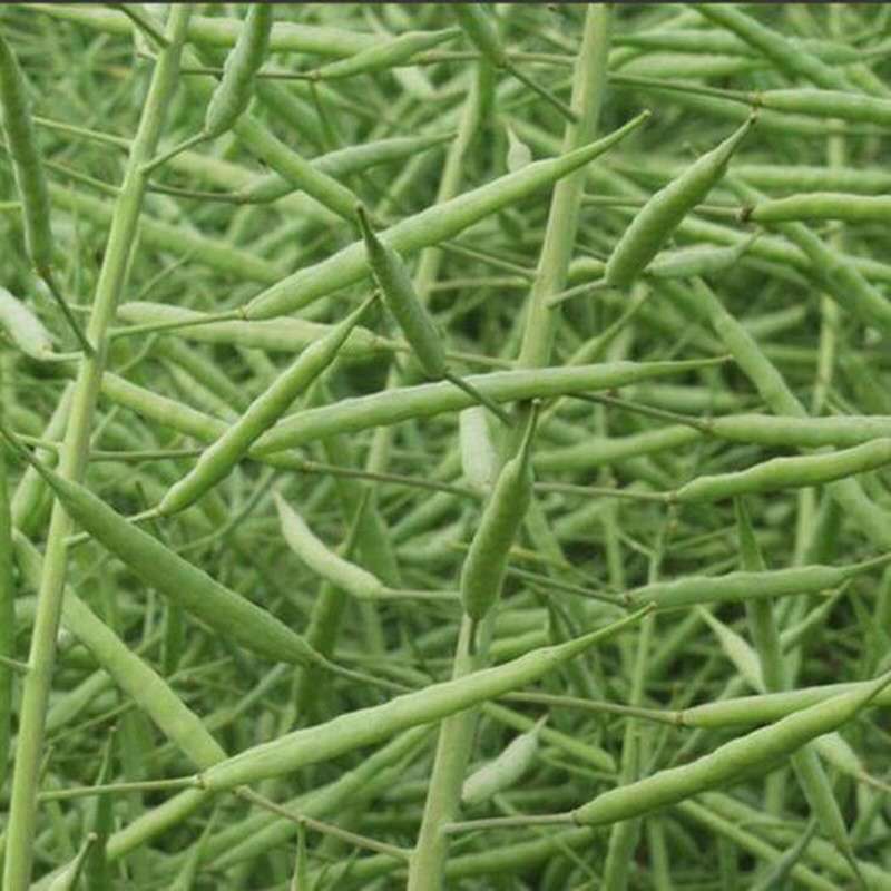 微信图片_20201009211816