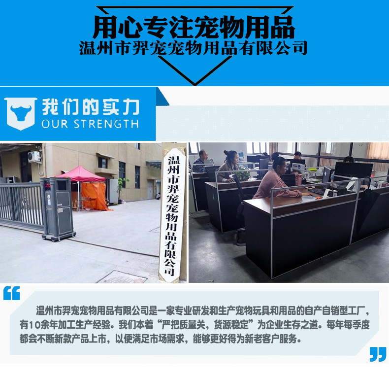 狗狗磨牙玩具
