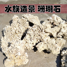 大号珊瑚石 造景石 三湖石 死石 三湖慈鲷缸鱼缸装饰造景造型