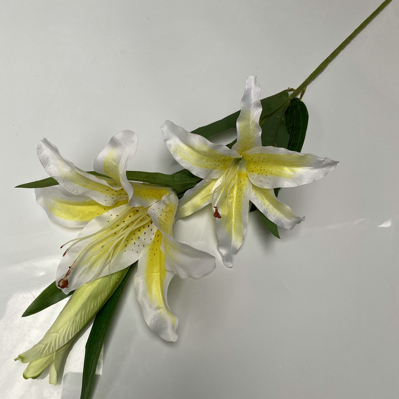 新百合大只黄色