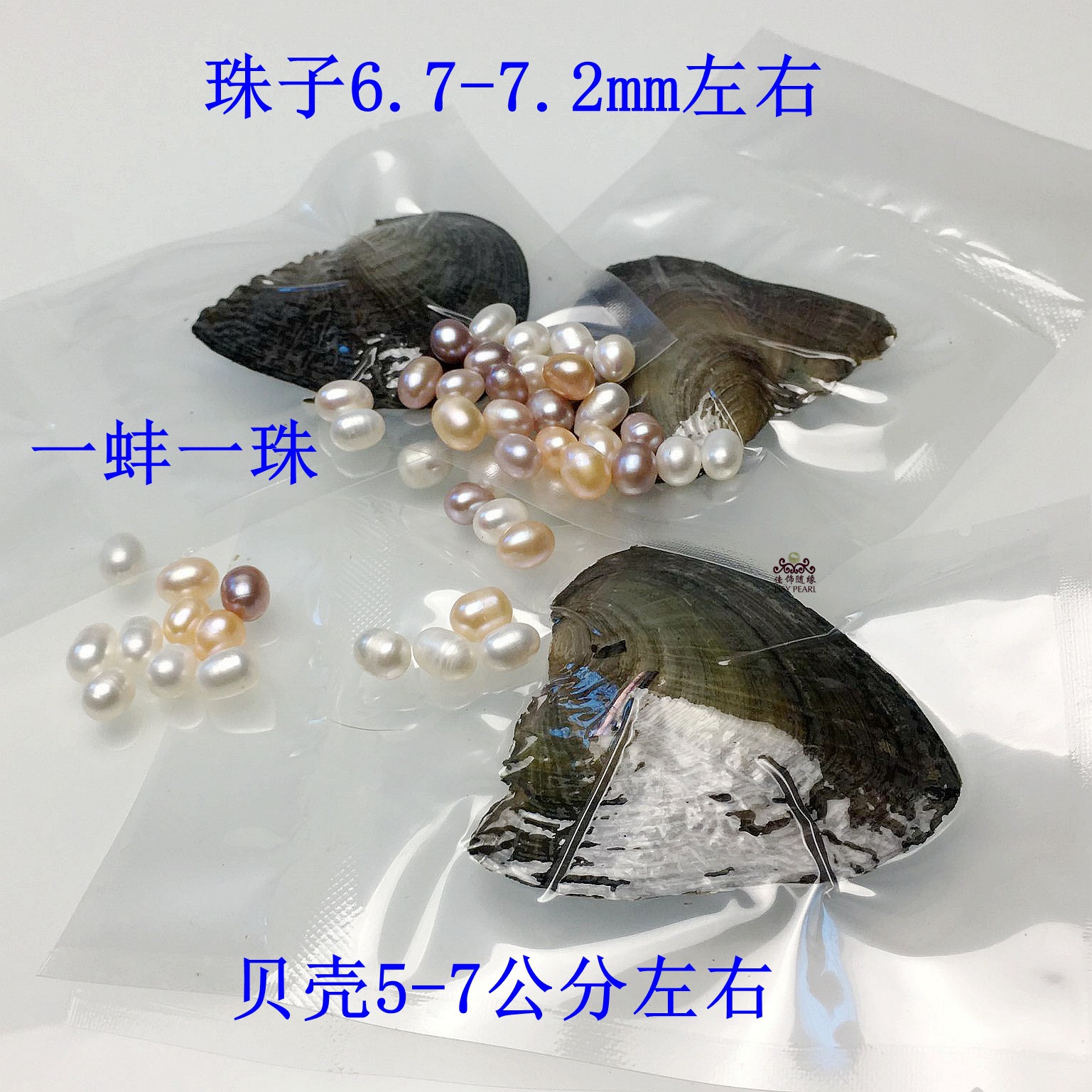 001供应真空包装北海珍珠6.7-7.2mm小河蚌 一蚌一株外贸小贝