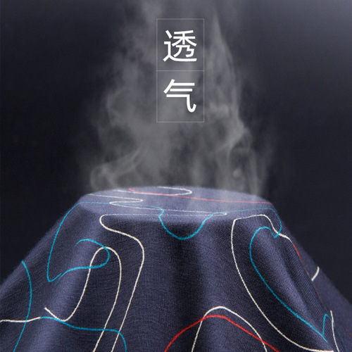 New Style Lansi Men's Underwear Spring and Summer Waistband Printed Sexy Breathable Youth Boxer Shorts Briefs Wholesale 