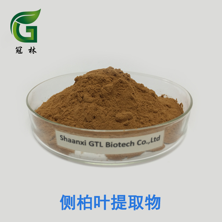 侧柏叶提取物 10:1 高比例侧柏叶提取物 1公斤起订 现货供应