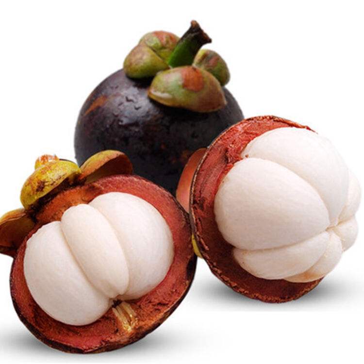 Thailand Mangosteen 5 fresh Tropical fruit pregnant woman Ma Zhu Large fruit Season One piece On behalf of