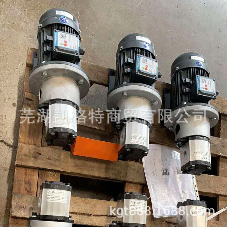 润滑系统GR系列齿轮泵现货供应