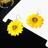 South Korean goods, long accessory, summer earrings, flowered