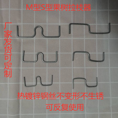 Apple Citrus currency Trunk Shaping device SM