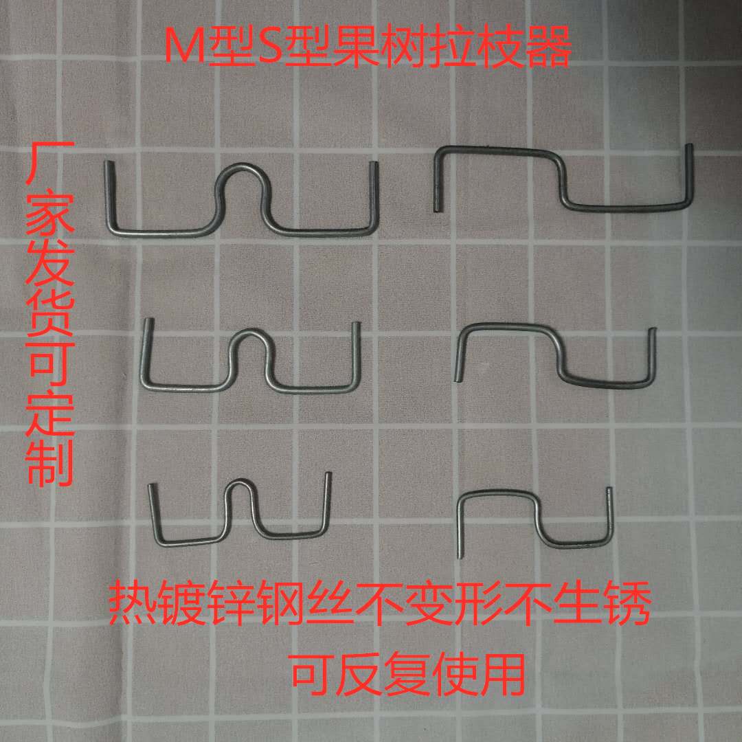 Apple Citrus currency Trunk Shaping device SM