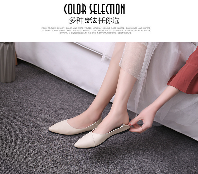 2019122622346075559028w750h660